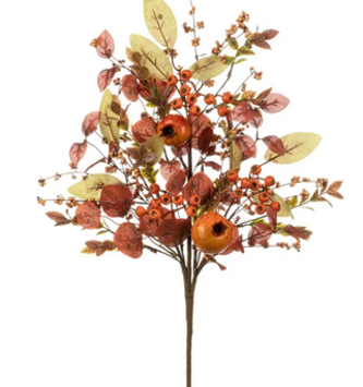 Pomegranite Berry Spray