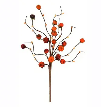 Mini Pumpkin Pick Mini Pumpkin Pick