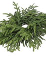24" Norfolk Pine Centerpiece