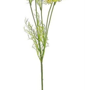 Wild Dill Spray (2 Colors)