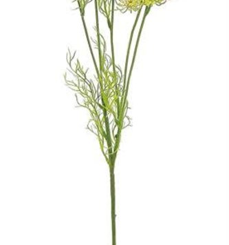 Wild Dill Spray (2 Colors)