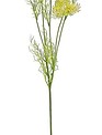 Wild Dill Spray (2 Colors)