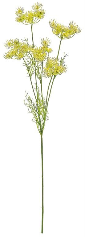 Wild Dill Spray (2 Colors)