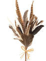 16.5" Feather Bundle