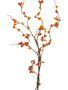 42" Bittersweet Berry Branch