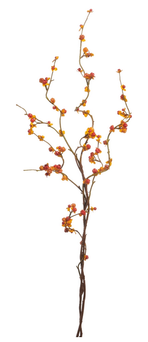 42" Bittersweet Berry Branch