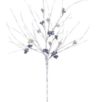 Birch Blue Berry Pine Branch Birch Blue Berry Pine Branch