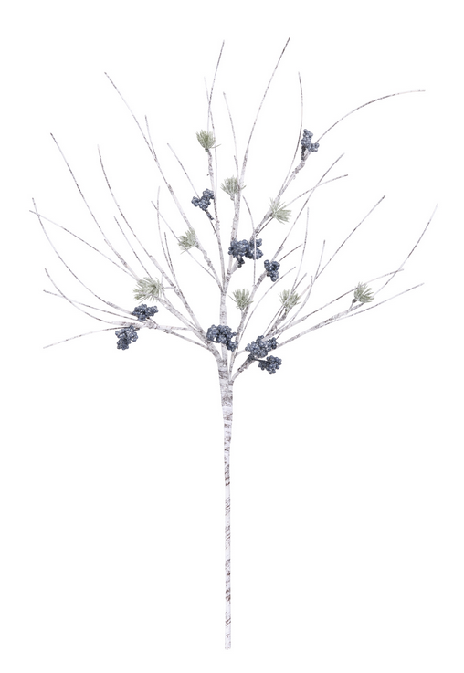 Birch Blue Berry Pine Branch Birch Blue Berry Pine Branch