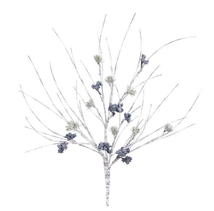 Birch Blue Berry Pine Branch Birch Blue Berry Pine Branch