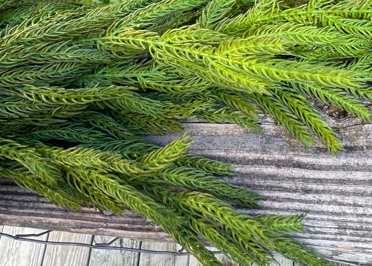 6-ft Deluxe Real Touch Norfolk Pine Garland 6-ft Deluxe Real Touch Norfolk Pine Garland