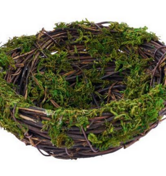 Mossy Vine Bird Nest