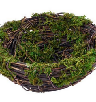 Mossy Vine Bird Nest
