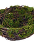 Mossy Vine Bird Nest