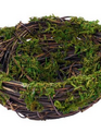 Mossy Vine Bird Nest