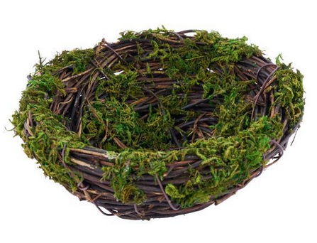 Mossy Vine Bird Nest