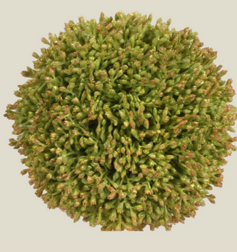 4" Seed Ball