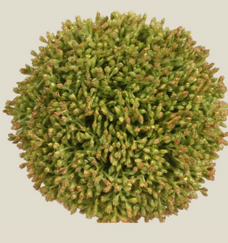 4" Seed Ball