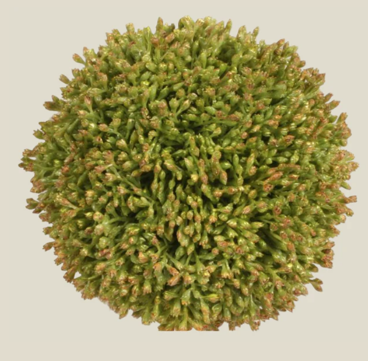 4" Seed Ball