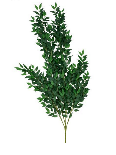 Wisteria Leaf Branch