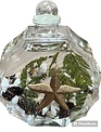 Sunburst Seashell Starfish Oil Candle (2-Styles)
