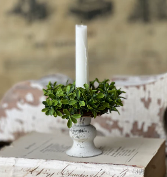 Taper Boxwood Candle Ring