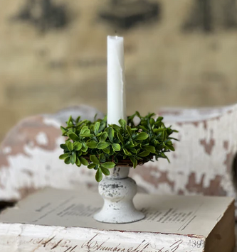 Taper Boxwood Candle Ring