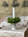 Taper Boxwood Candle Ring