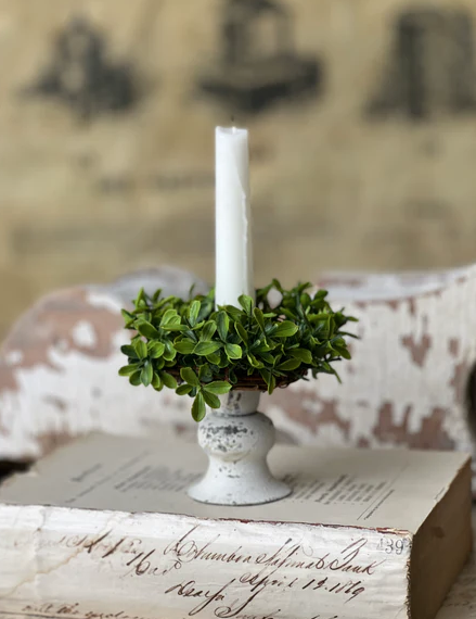 Taper Boxwood Candle Ring