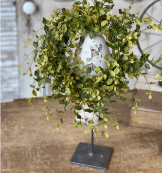 Scarlet Pimpernel Candle Ring