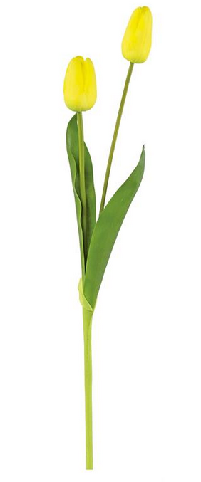 Natural Touch Long Stem Tulip (5-Colors)