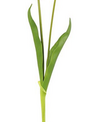 Natural Touch Long Stem Tulip (5-Colors)