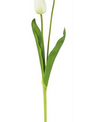 Natural Touch Long Stem Tulip (5-Colors)