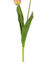 Natural Touch Long Stem Tulip (5-Colors)
