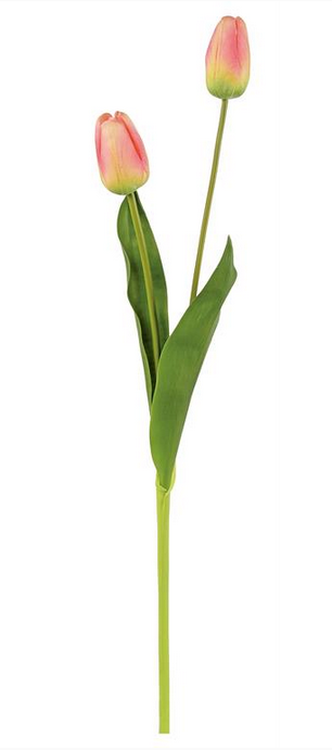 Natural Touch Long Stem Tulip (5-Colors)