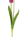 Natural Touch Long Stem Tulip (5-Colors)