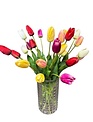 Natural Touch Long Stem Tulip (5-Colors)