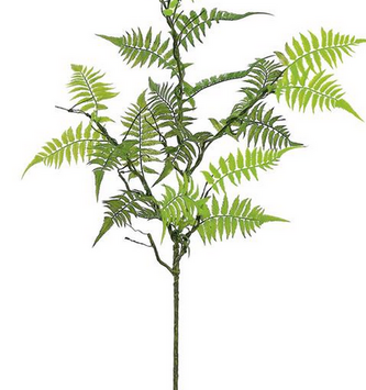 Mountain Woods Fern Spray