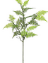 Mountain Woods Fern Spray