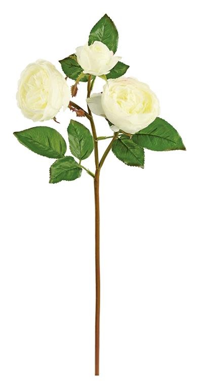 Soft Touch Natural Rose (3-Colors)