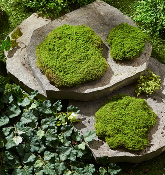 Set of 3 Moss Mounds