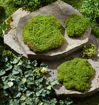 Set of 3 Moss Mounds