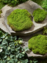 Set of 3 Moss Mounds