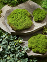 Set of 3 Moss Mounds