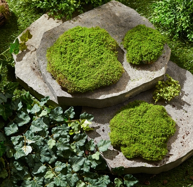 Set of 3 Moss Mounds