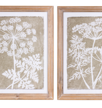 Set of 2 Queen Anne's Lace Framed Print