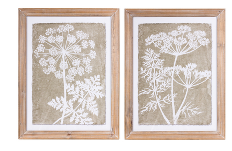 Set of 2 Queen Anne's Lace Framed Prints