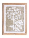 Set of 2 Queen Anne's Lace Framed Prints