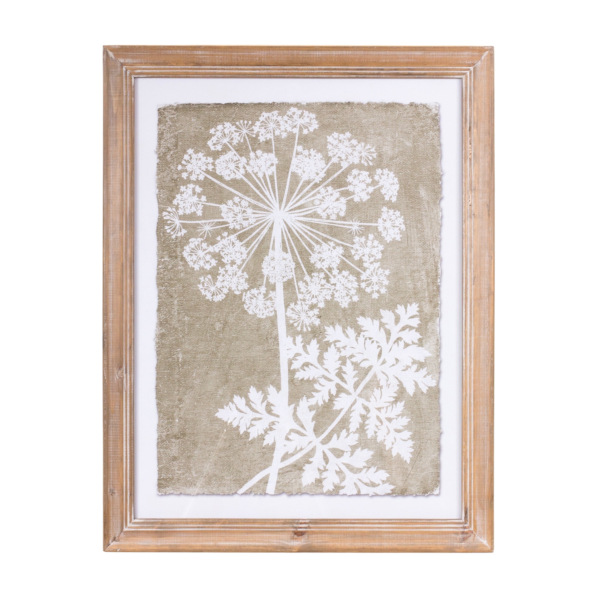 Set of 2 Queen Anne's Lace Framed Prints