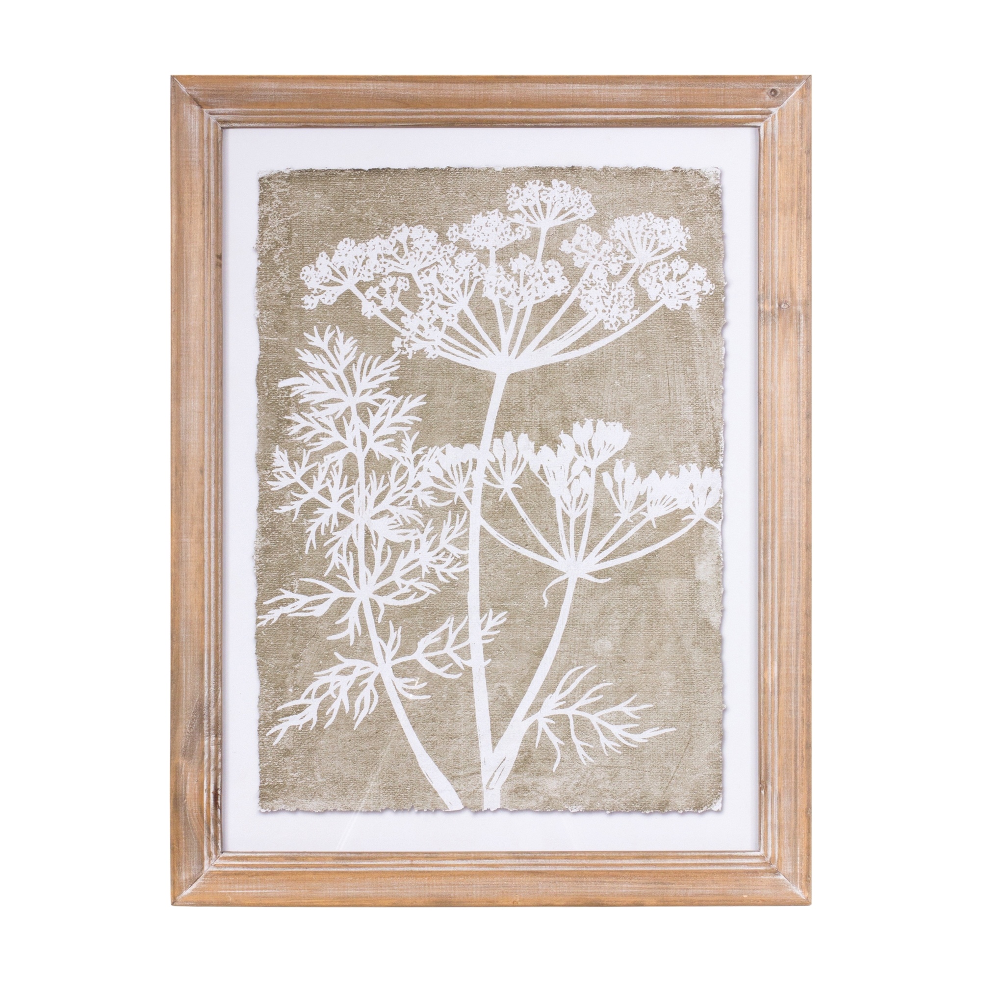 Set of 2 Queen Anne's Lace Framed Prints