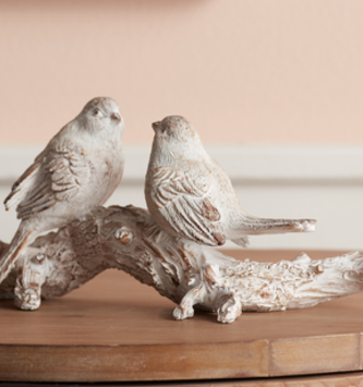 Bird Couple on Branch